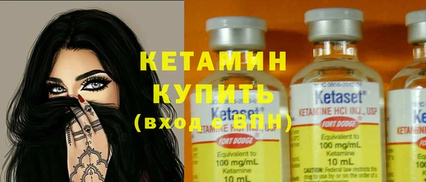 стаф Алзамай