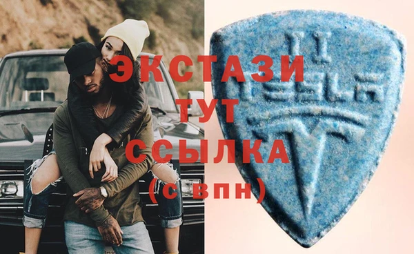 стаф Алзамай