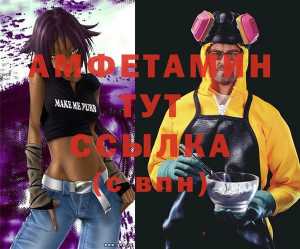 стаф Алзамай